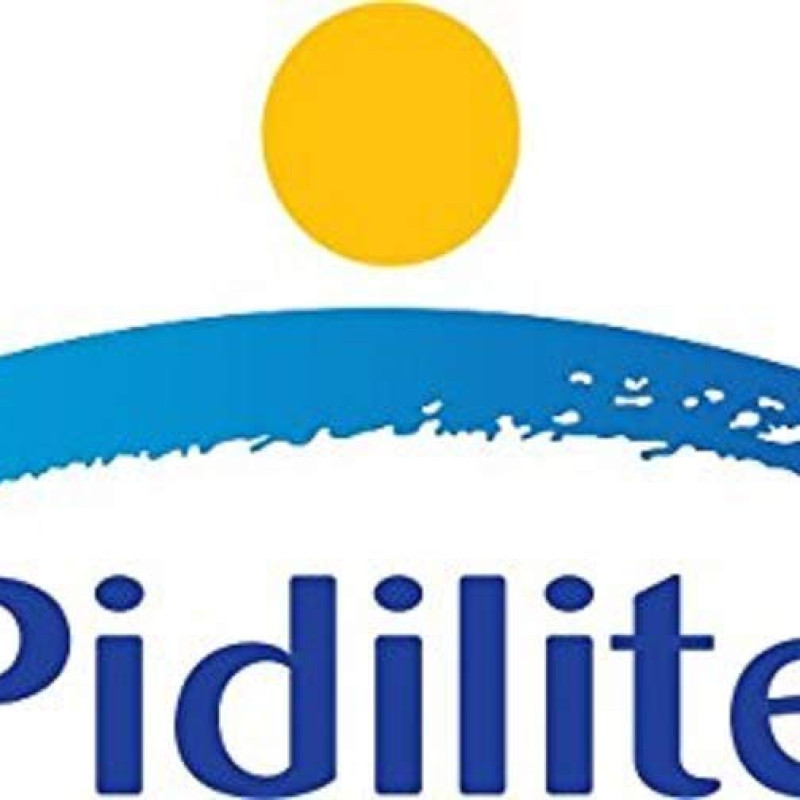 Pidilite Terminator Eco-Friendly Termite Killer (1LTR)