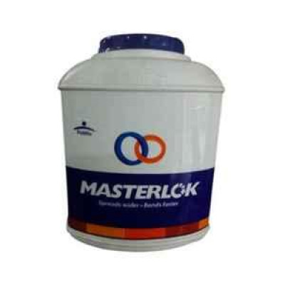 PIDILITE MASTERLOK 2KG