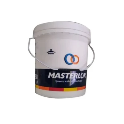 PIDILITE MASTERLOK 5KG
