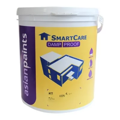 ASIAN PAINTS DAMP PROOF 1L (White)