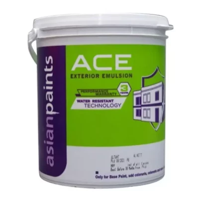 ASIAN PAINTS ACE 1L