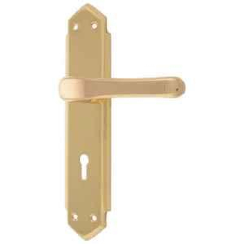 Godrej Decor Brass 7296 Mortise