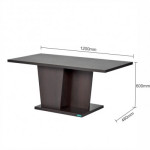 COFFEE TABLE (KSS 022)