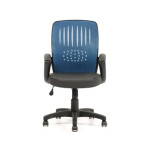 LOW BACK CHAIR OCL 023 (BLACK &amp; BLUE)