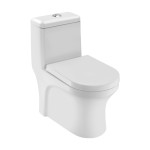 Essco Single Piece WC